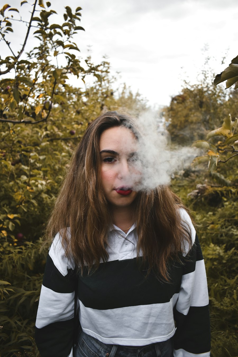 vape accessory