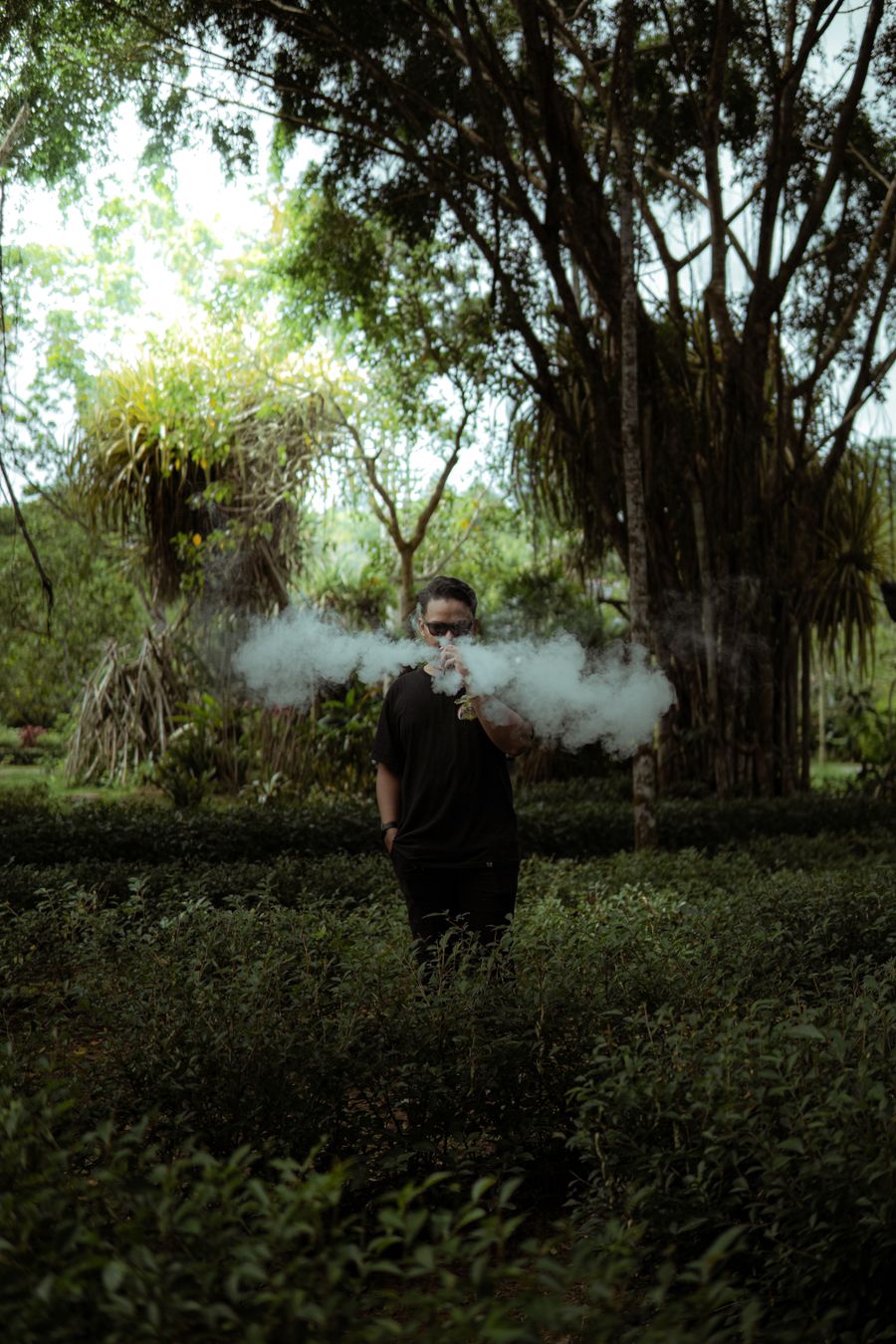 vape bundle